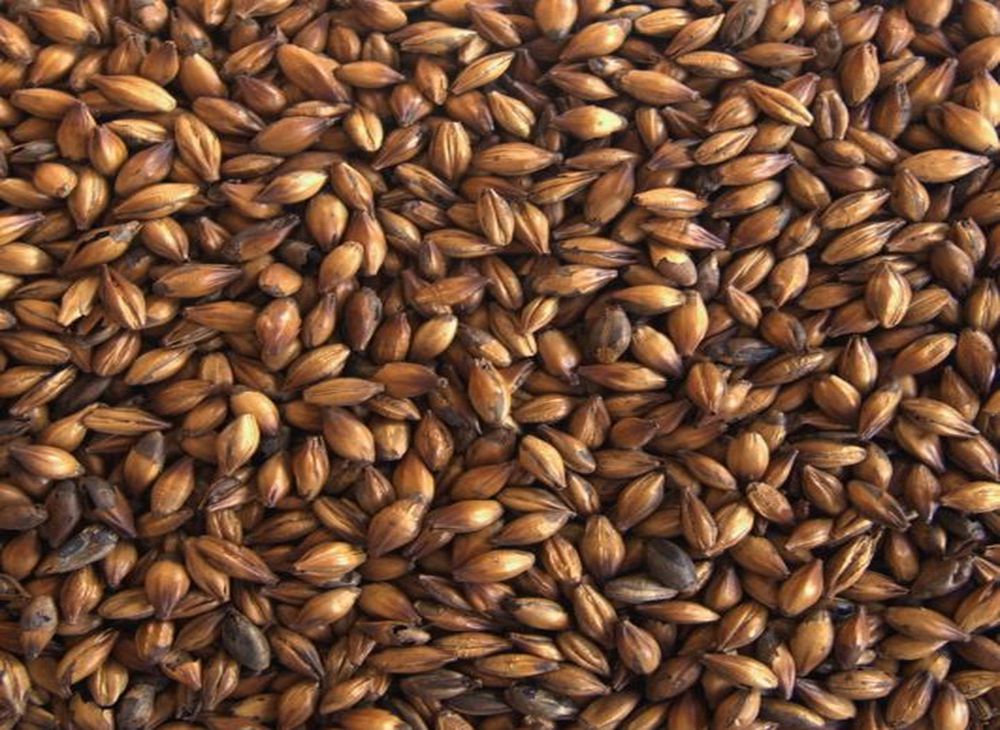 beer brewery equipment,beer brew equipment,brewery fermenters,brewery equipment used,micro brewery equipment,microbrewery equipment,equipment for microbrewery,brewery machines,brewery machine,microbrewery equipments,brewery system,